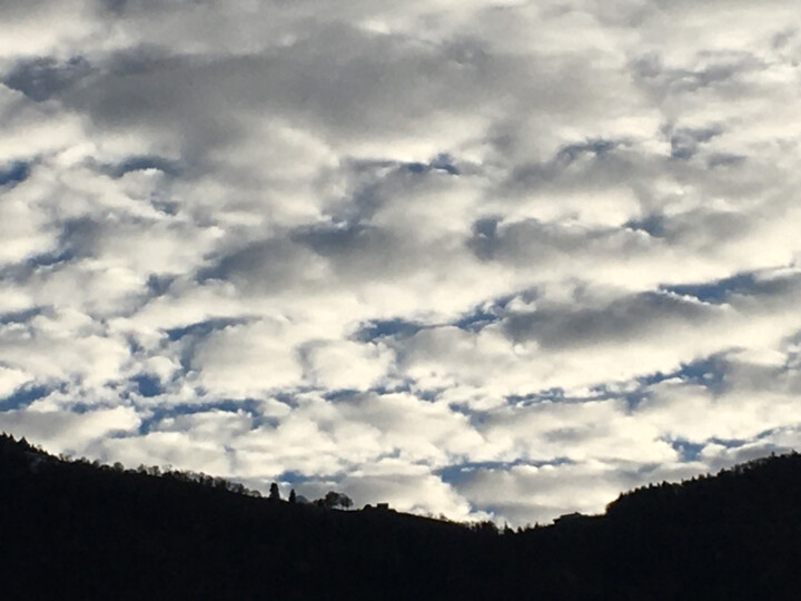 Les moutons de novembre 사진