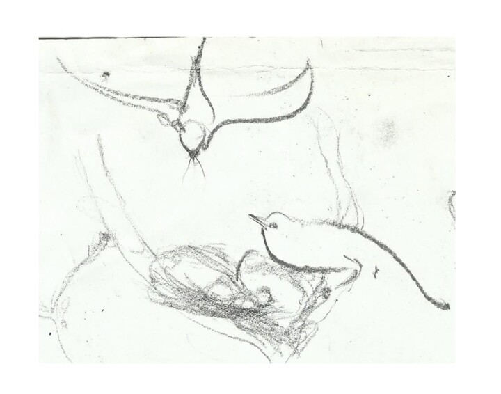 "aşiyan /bırd's nest" başlıklı Resim Esra Aysu Çeşme tarafından, Orijinal sanat, Kalem