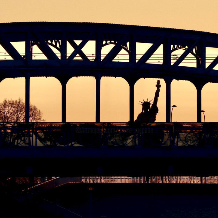Pont Rouelle-Statue de la Liberté 사진