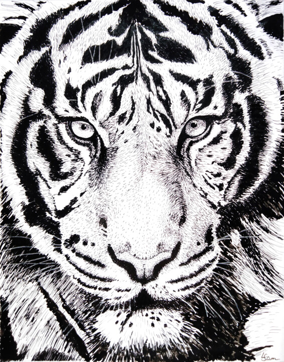 The piercing gaze of a tiger 绘画, 11.2x8.9 in