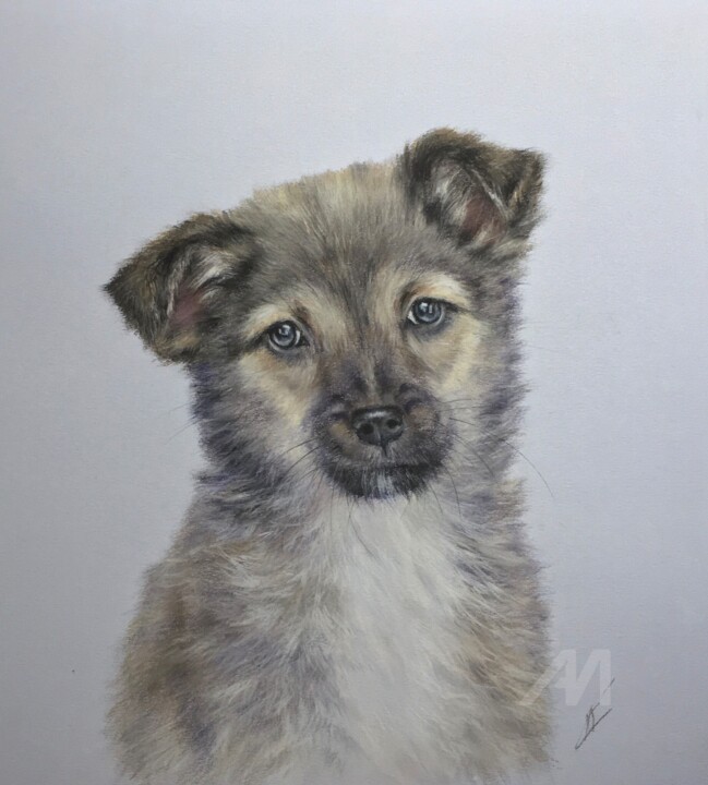 Cute puppy 图画, 12.6x11.4 in