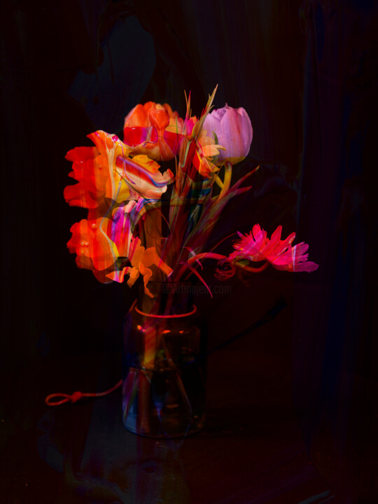 hana02_2458 摄影, 16.7x13 in
