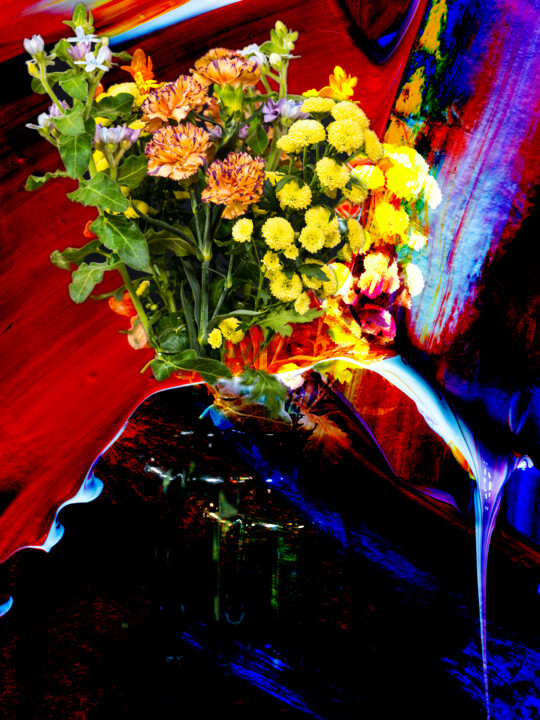 hana04_5062 摄影, 19x13 in