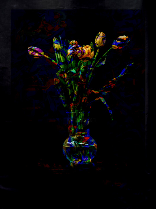 hana05_F009 摄影, 19x13 in