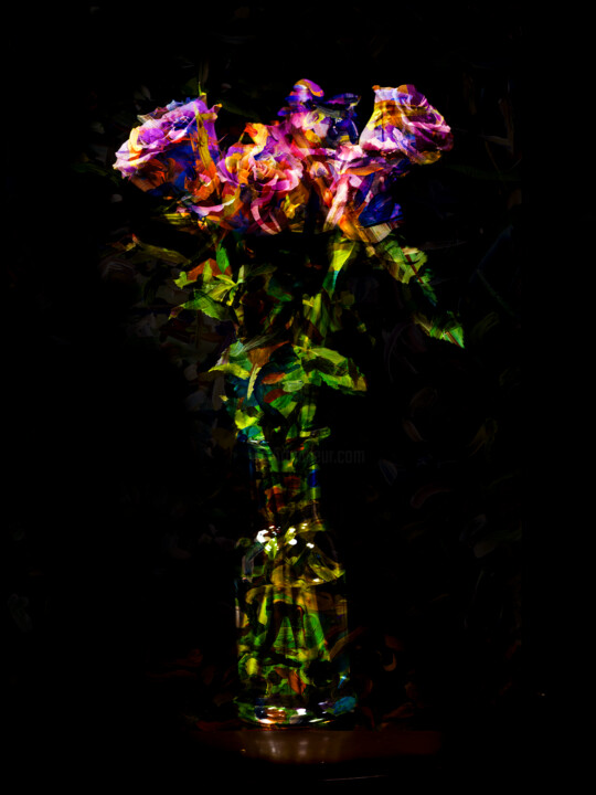 hana06_F011 摄影, 17.3x13.4 in