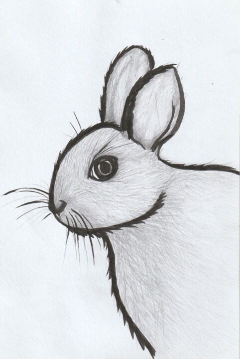 Lapin de profil (2) 图画