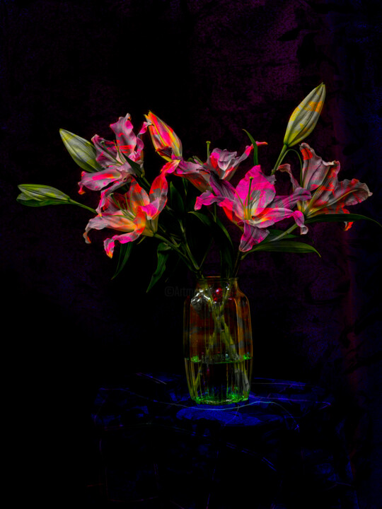 Hana10_F69 摄影, 19x13 in