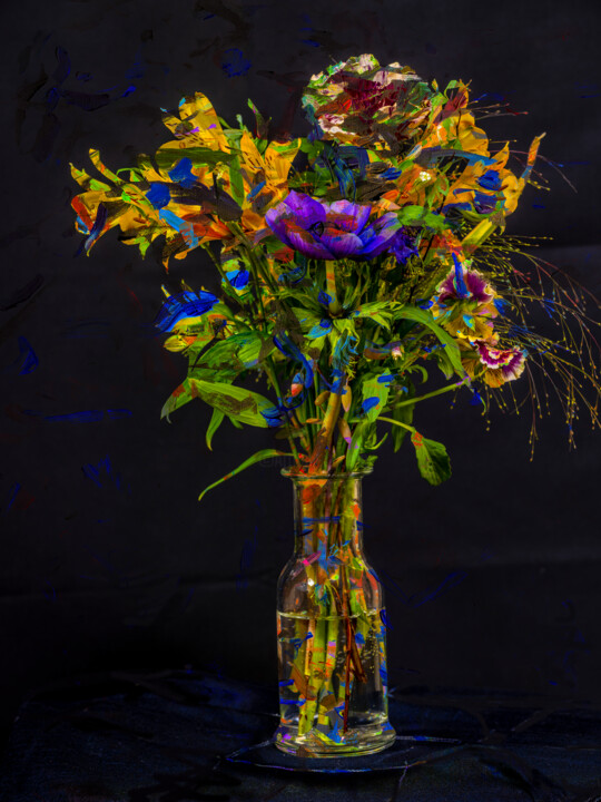 Hana11_F72 摄影, 16.7x13 in