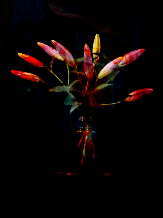 hana12_F4794 摄影, 19x13 in