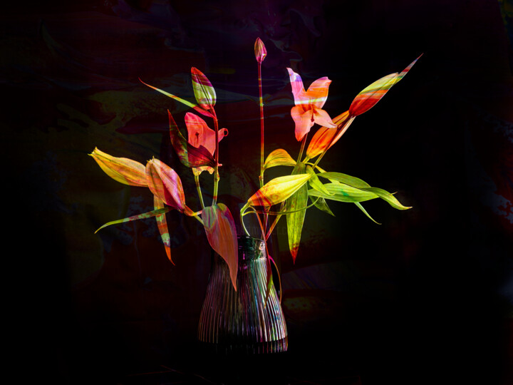 hana19_F5035 摄影, 13x16.8 in