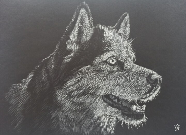 HUSKY - original drawing, office art, dog 图画, 8.1x11.1 in