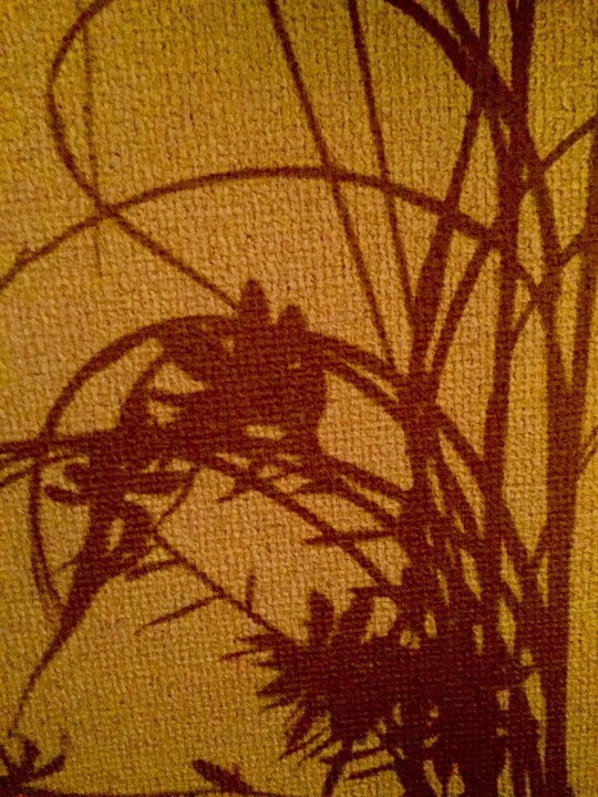 Fotografia intitolato "Shadow on the wall" da Cotan, Opera d'arte originale, Fotografia digitale