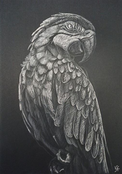 ARA BIRD - small drawing, original gift, black 图画, 11.7x8.3 in
