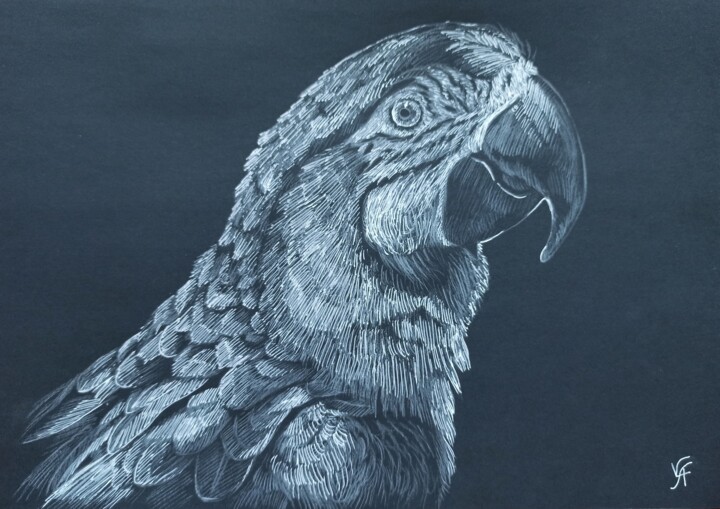 ARA BIRD - original drawing, home decor, black 图画, 8.3x11.7 in