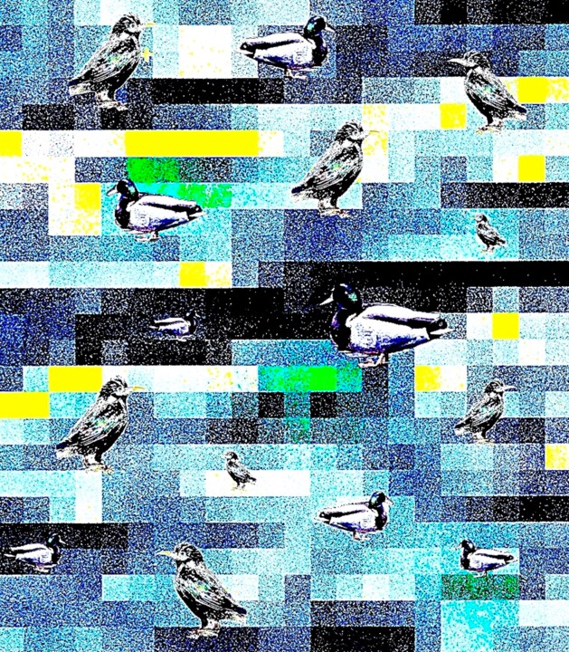 Birds Boogie on Broadway 1a 摄影, 30x26.2 in
