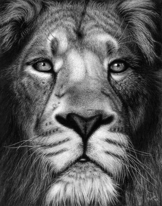 The King 图画, 14x11 in