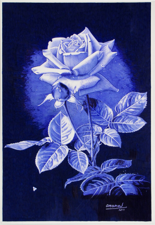 Rose 图画, 19x13 in