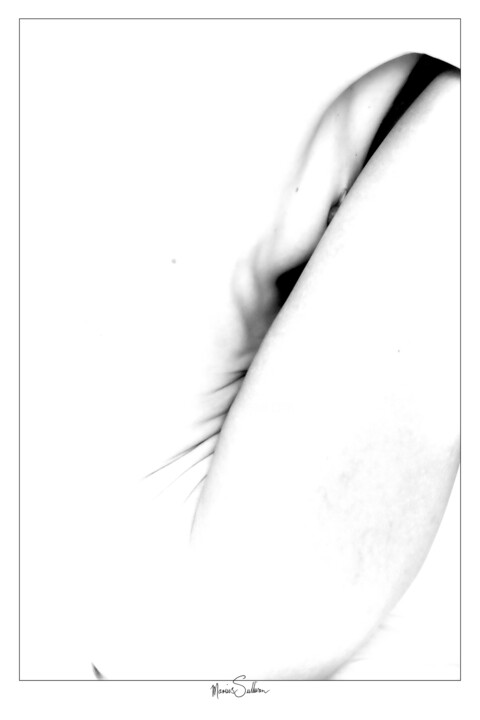 제목이 "nude 041222 3"인 사진 Marius Sullivan로, 원작, 디지털