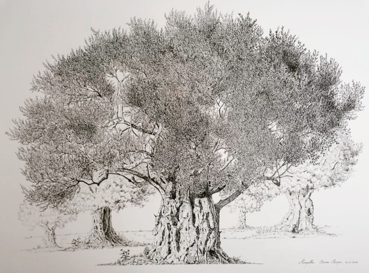 Drawing titled "Oliveraie" by Luis Margallo, Original Artwork, Ink Mounted on Cardboard