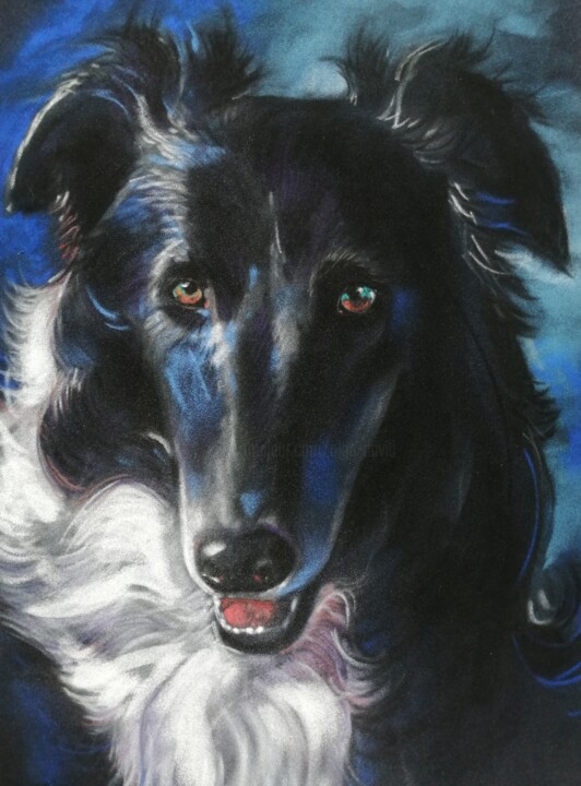 Original pastel drawing of a greyhound, Wippet, Greyhound. 图画, 18.9x13 in