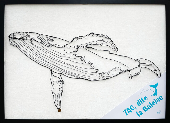 7AC, dite la Baleine 雕塑, 15x27.2 in