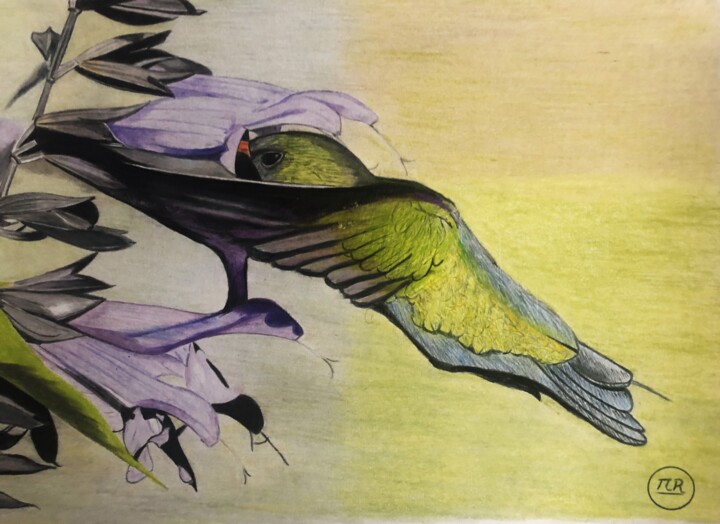 Petit oiseau Drawing, 11x15.8 in