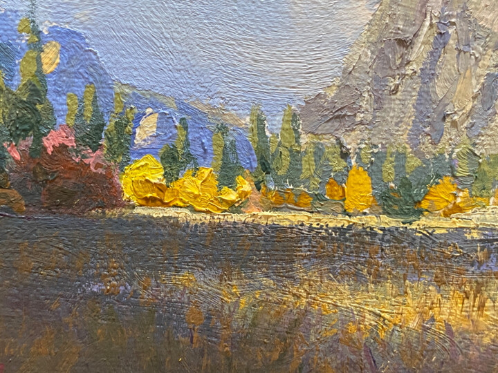 Additional views 3