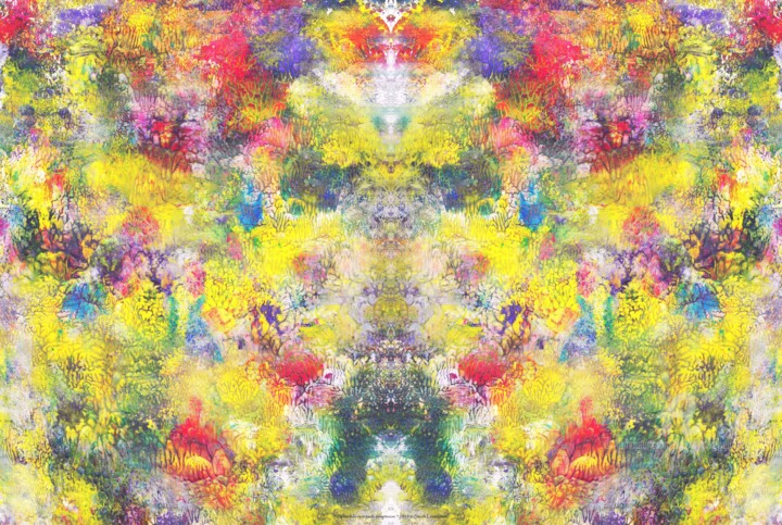 摄影 