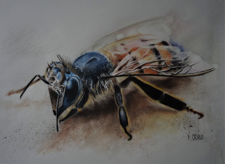 Abeille 图画