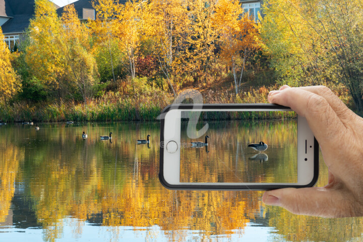 "Hot October" başlıklı Fotoğraf Benjamin tarafından, Orijinal sanat, Dijital Fotoğrafçılık