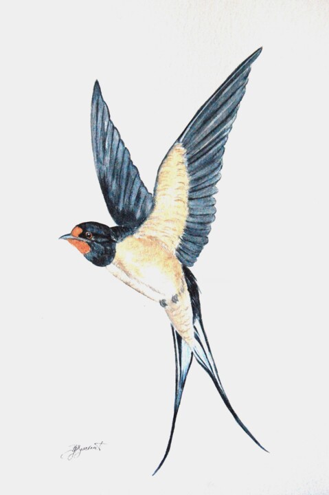 hirondelle en vol - aquarelle originale signée 绘画, 12.6x9.5 in