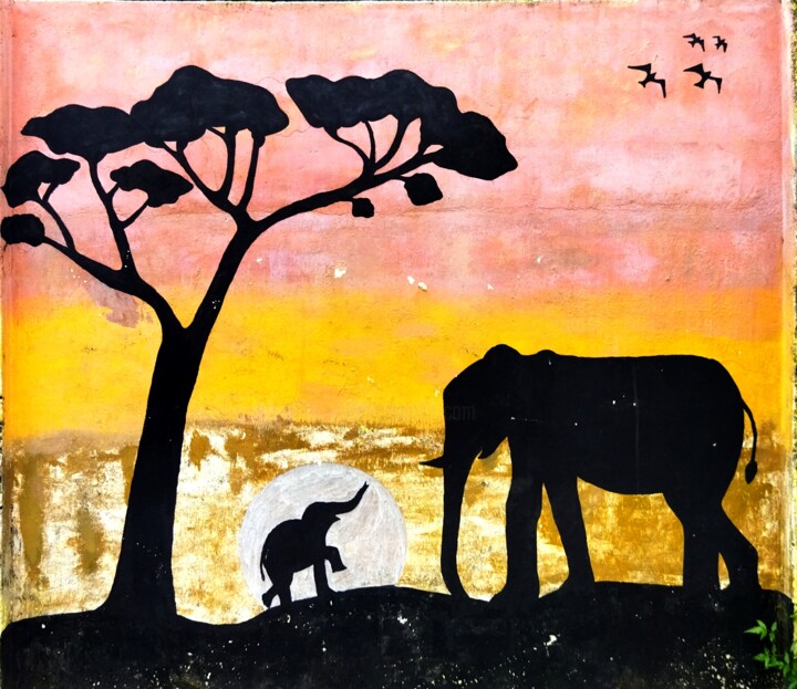 elephant dream 摄影