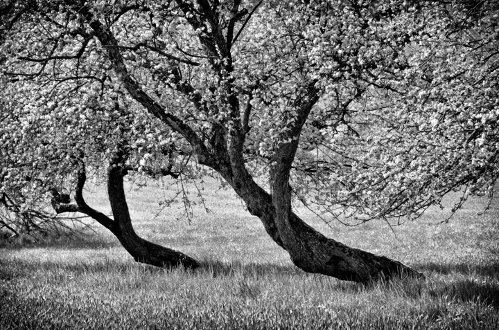 Bend over Photography