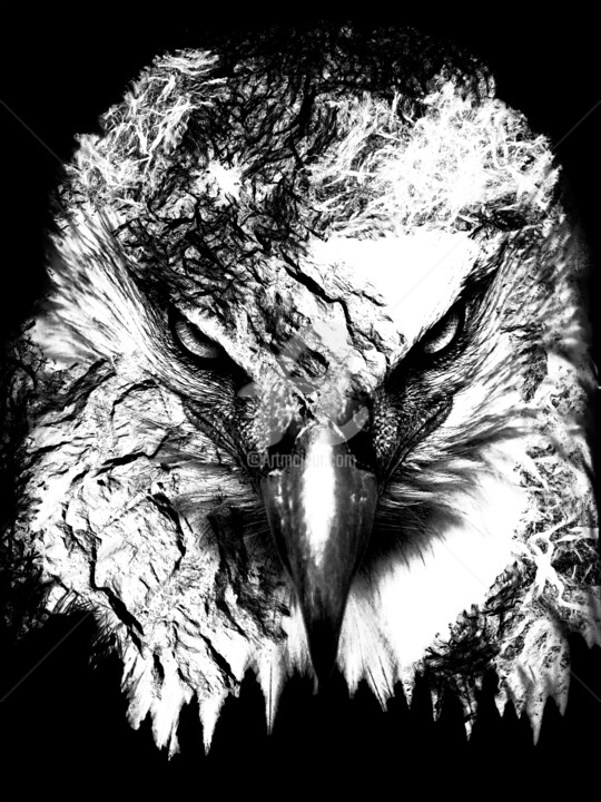 Eagle black and white portrait, Bird digital drawing 数字艺术