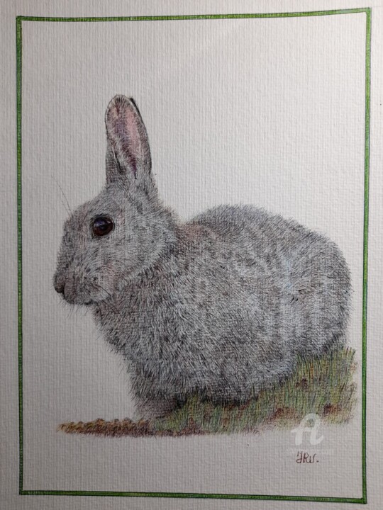 Le lapin de garenne 图画, 11.8x9.5 in
