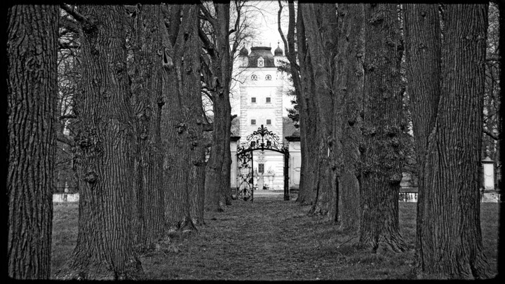Der Schlosspark Photography