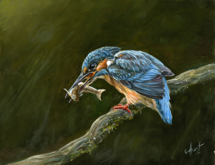 Kingfisher 绘画, 9.1x11.5 in