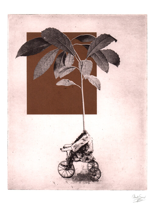 The Avocado 印花与版画, 15.8x11.4 in