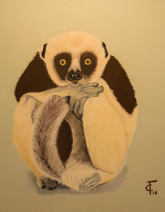 Dibujo titulada "Propithèque de Coqu…" por Pastels Et Velours, Obra de arte original, Pastel Montado en Cartulina
