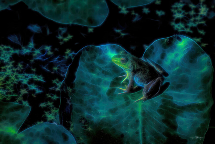 Photography titled "Fantasy Bullfrog" by Travis Burgess, Original Artwork, Digital Photography
