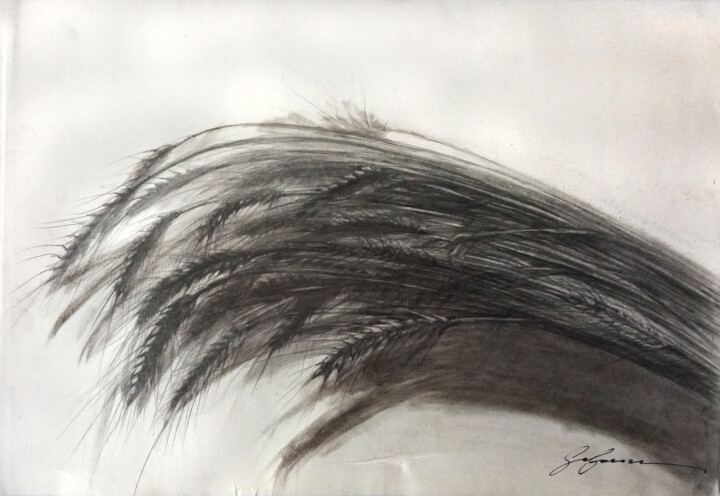 图画,  11.4x16.5 in 