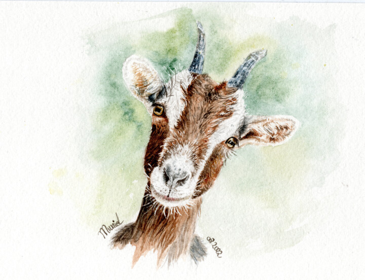 Painting titled "Portrait d'une chèv…" by Muriel Barrat, Original Artwork, Watercolor