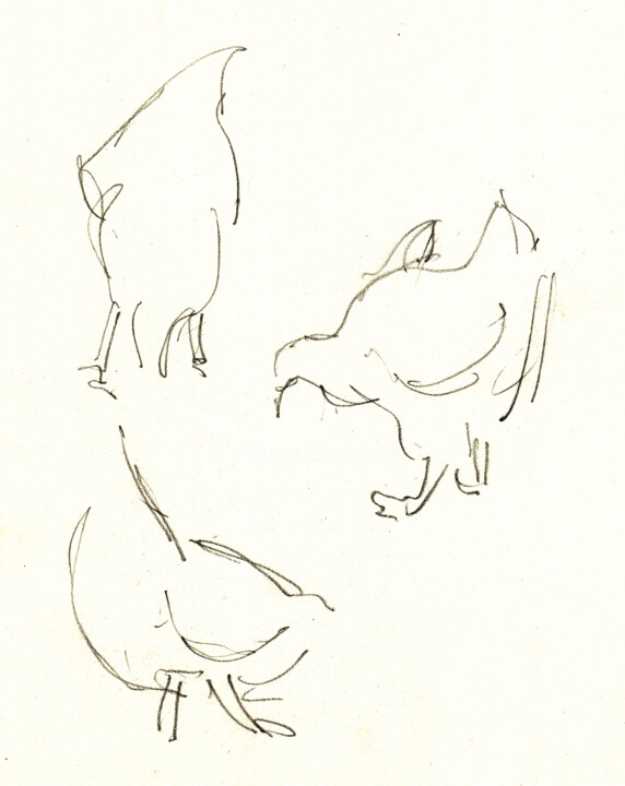 Étude de poule en mouvement (esquisse rapide) 图画, 7.9x6.3 in