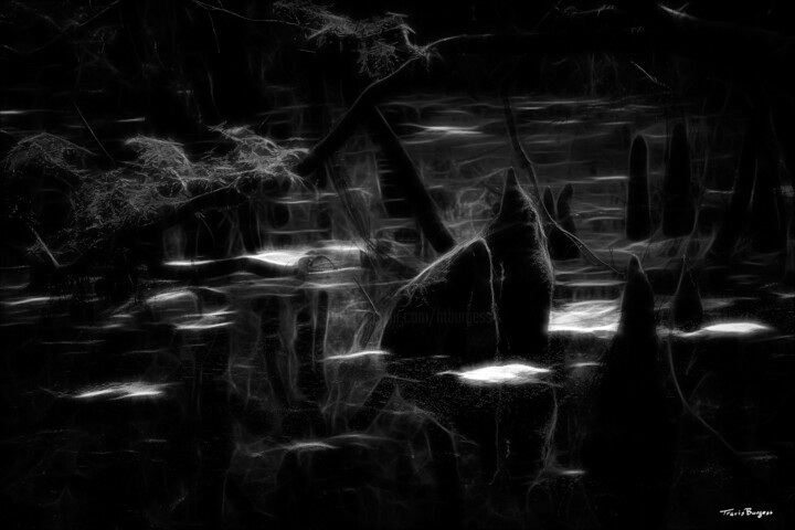 Photography titled "Faerie Swamp in Mon…" by Travis Burgess, Original Artwork, Manipulated Photography