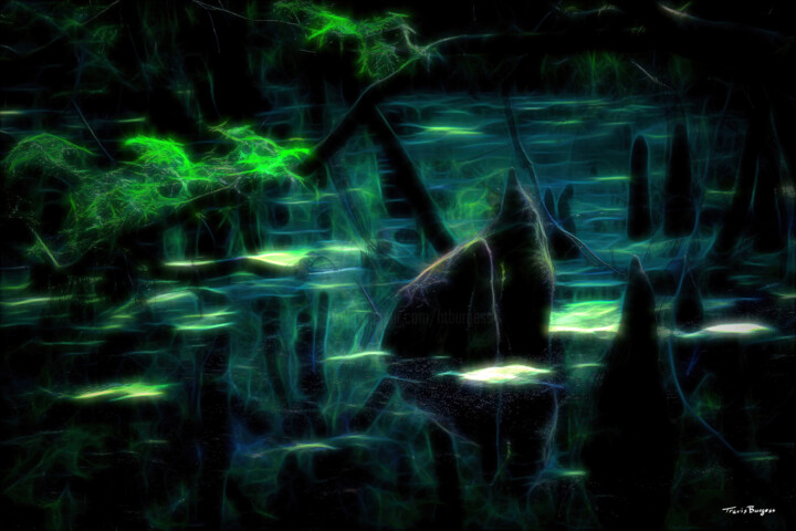 "Faerie Swamp" başlıklı Fotoğraf Travis Burgess tarafından, Orijinal sanat, Fotoşoplu fotoğrafçılık