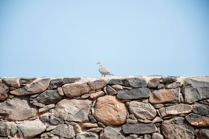 Fotografia zatytułowany „wall” autorstwa Krystian Kaplon, Oryginalna praca, Fotografia nie manipulowana