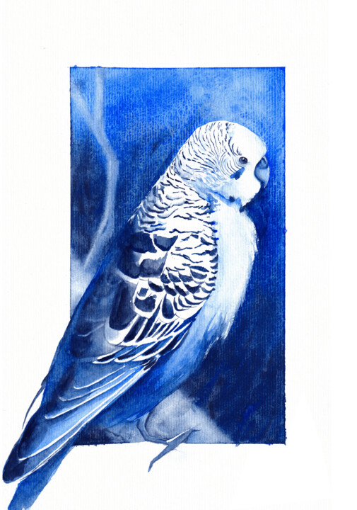Perruche Ondulée 绘画, 11.4x8.3 in