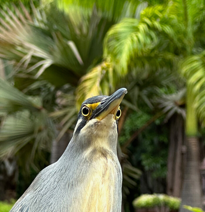 Regard 摄影