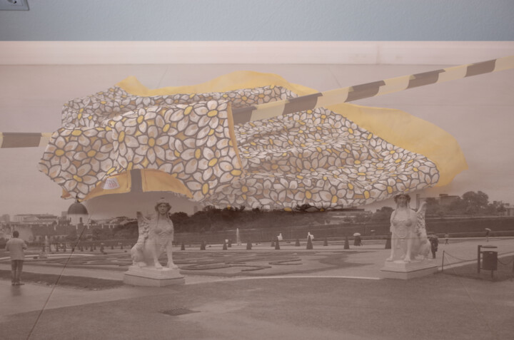 摄影,  44.1x59.1 in 