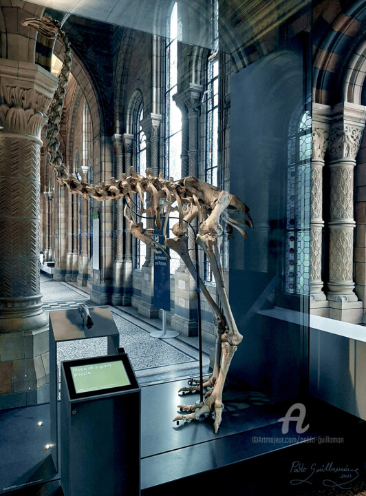 Natural History Museum-London Fotoğraf, 35,4x23,6 in